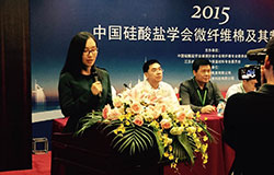 公司举办了中国硅酸盐学会微纤维棉及制品行业年会