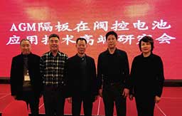参加AGM隔板在阀控电池应用技术高端研究会